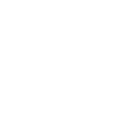 Paradox Logo White Transp 1000x1000
